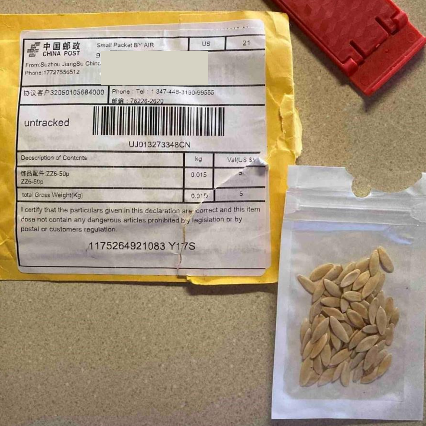 Seeds